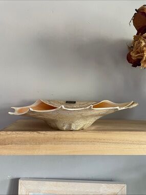 Handcrafted Glass Conch Shell Bowl in Sand cracle effect like color glass Europa